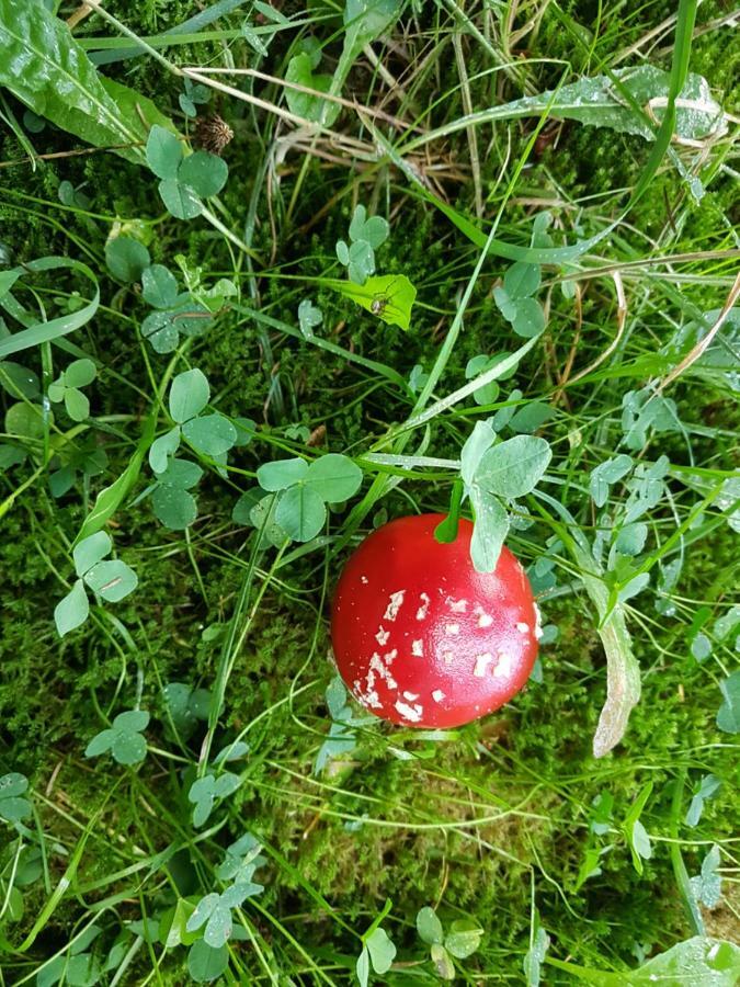 Freundliche Unterkunft Sauerland Meschede Exterior foto
